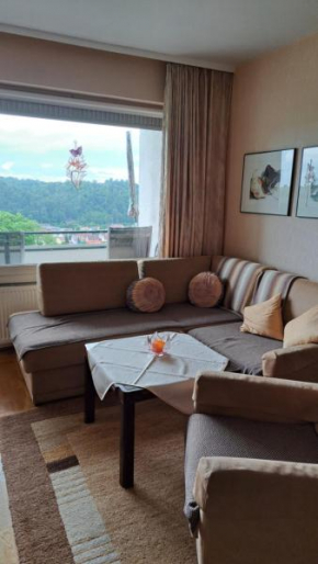 Harzer Ferienwohnung mit Pool und Sauna